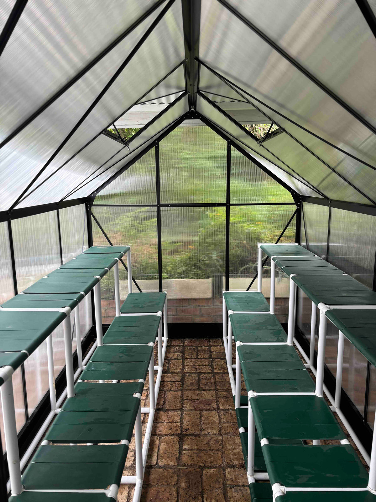 Greenhouse interior with rows of green benches and a polycarbonate roof.