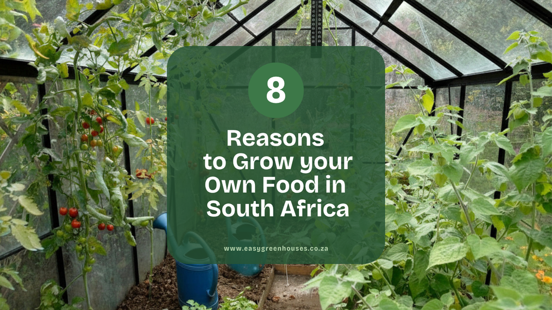 8 Reasons Why More South Africans Are Growing Their Own Food
