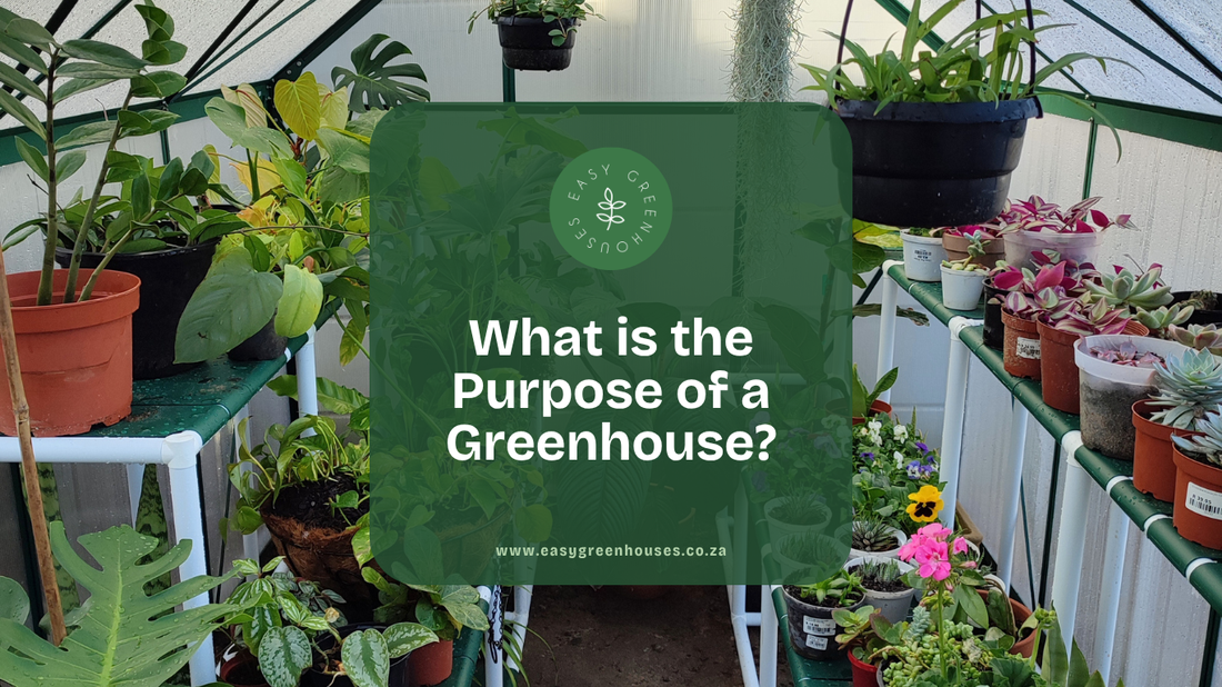 What Is the Purpose of a Greenhouse?