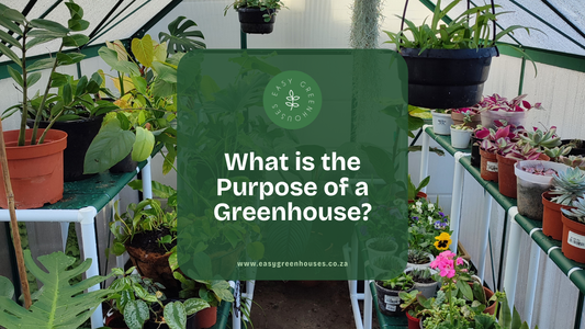What Is the Purpose of a Greenhouse?
