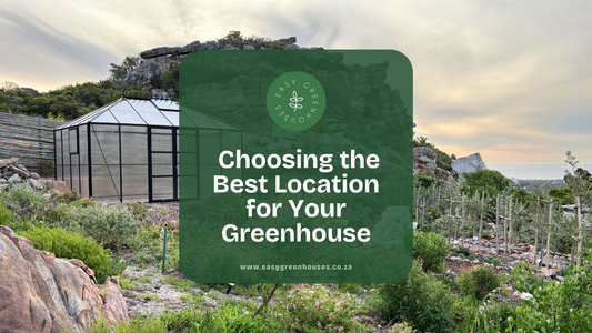 Choosing the Best Location for Your Greenhouse