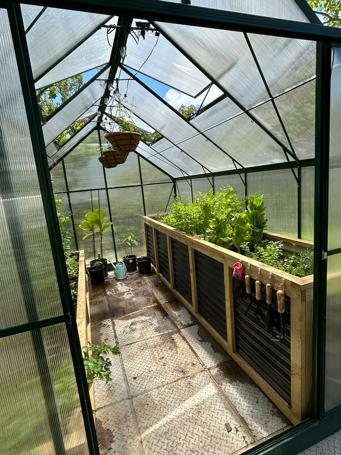 8 Reasons Why More South Africans Are Growing Their Own Food