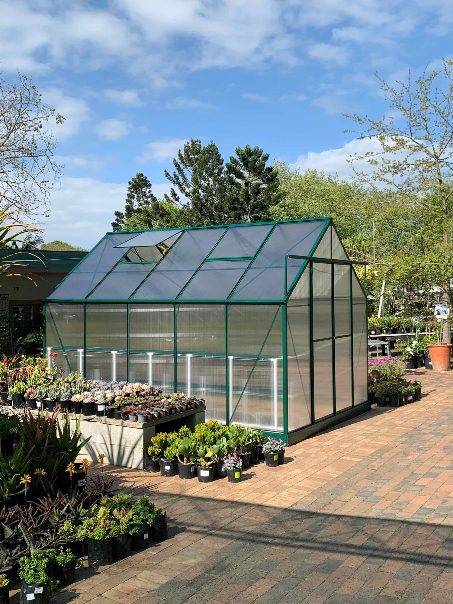 greenhouse on display at ferndale nursery constantia cape town
