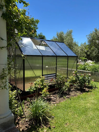 Black-framed polycarbonate greenhouse in a sunny South African garden with plants growing nearby.