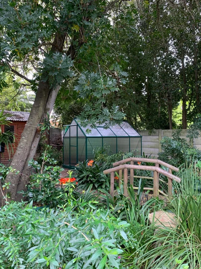 Easy Gro Greenhouse - Green - Easy Greenhouses