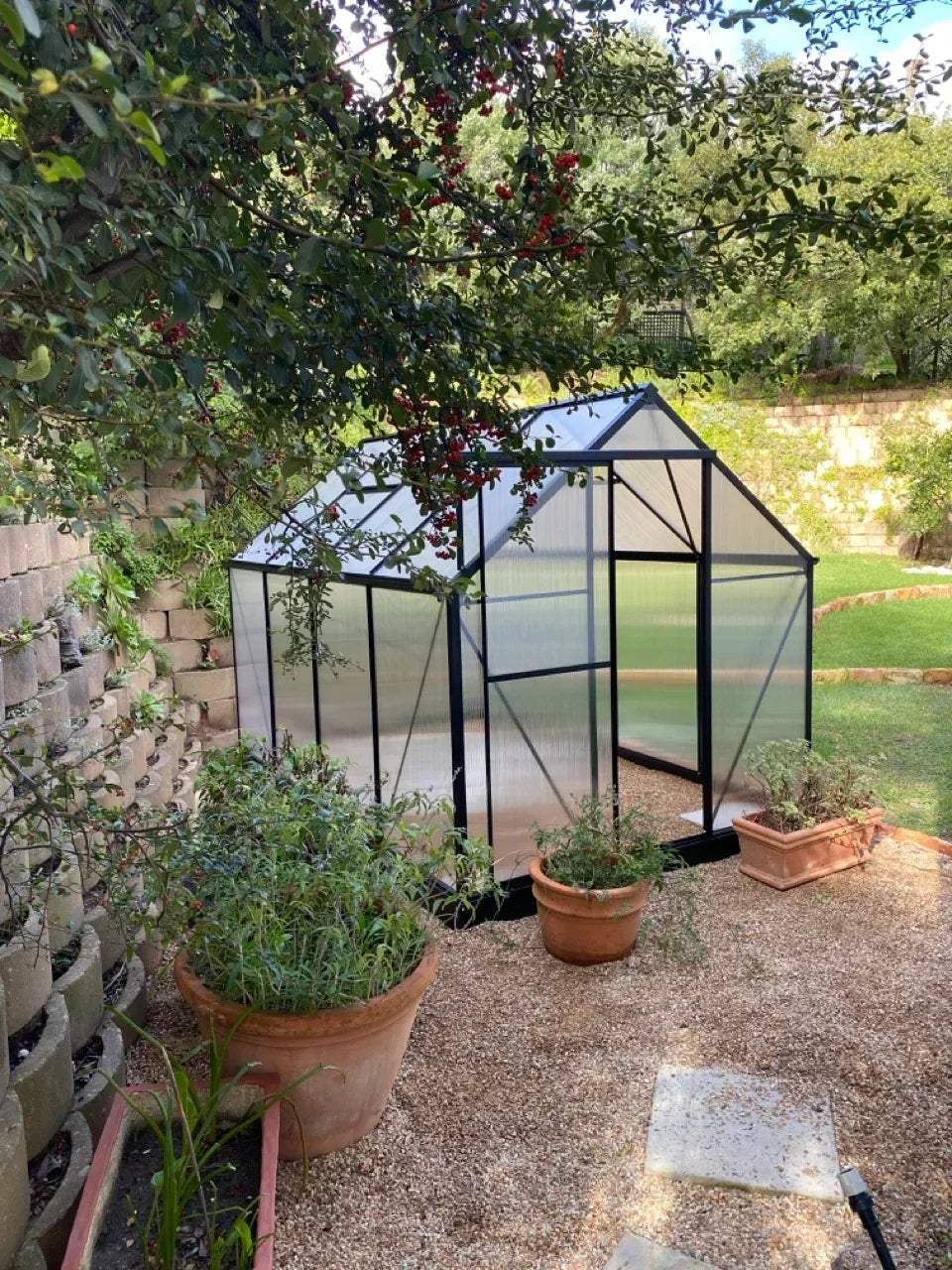 Easy Gro Greenhouse - Black - Easy Greenhouses