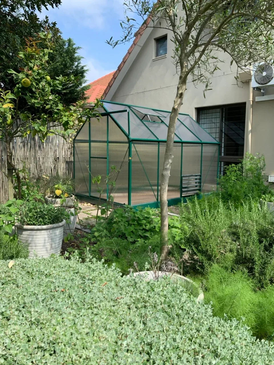 Easy Gro Greenhouse - Green - Easy Greenhouses