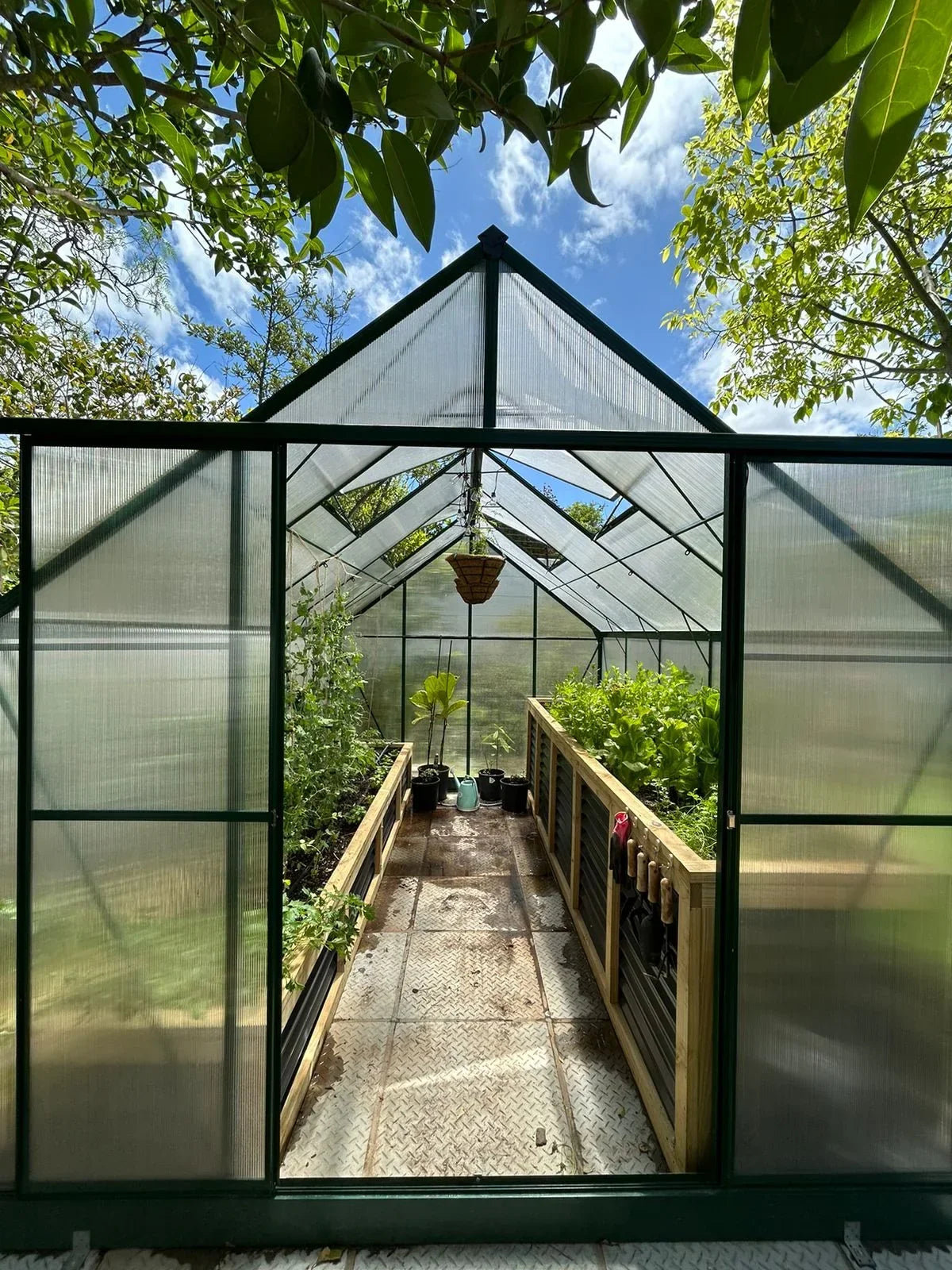 Grand Gro 3.6m Greenhouse - Green - Easy Greenhouses