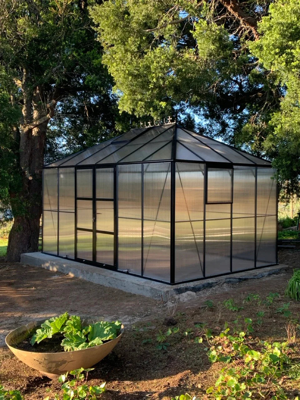 Large Black Polycarbonate greenhouse in a garden setting with trees and plants around