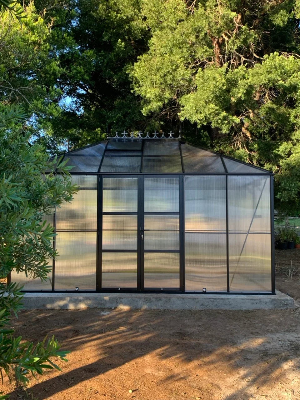 Glass greenhouse with metal frame surrounded by trees