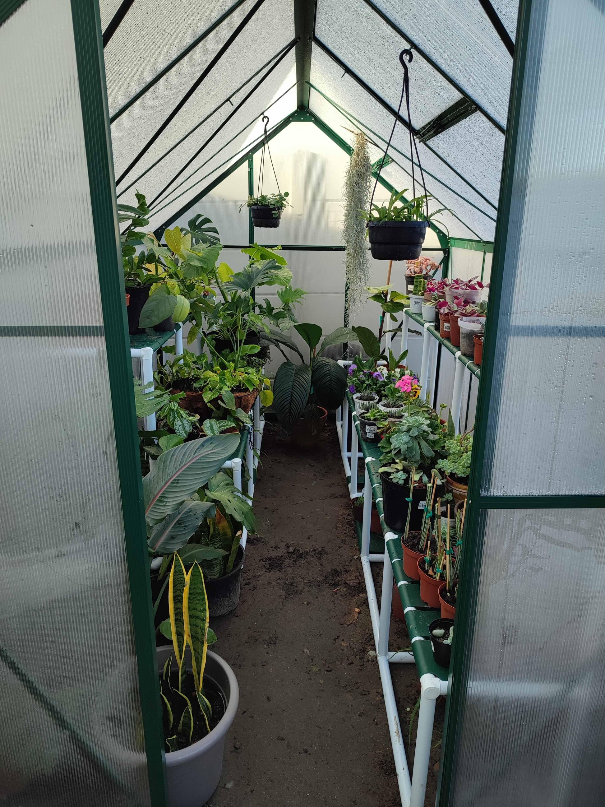 Easy Gro Greenhouse - Green - Easy Greenhouses
