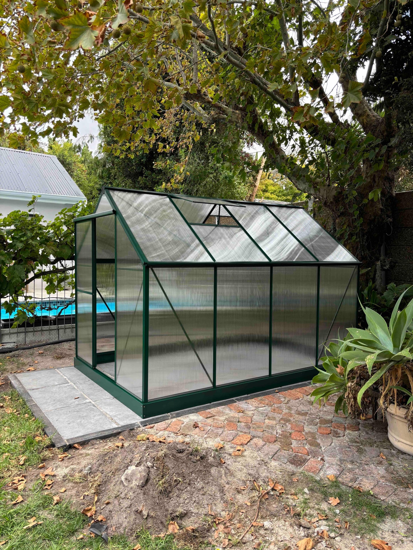 Aluminium-frame greenhouse with clear polycarbonate panels set in a leafy backyard garden