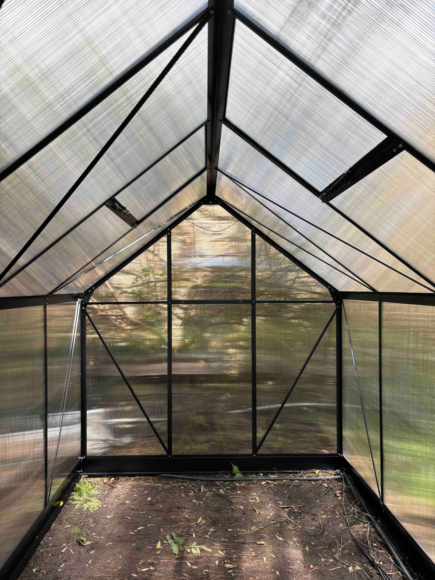 Interior of aluminium-frame greenhouse with clear polycarbonate panels and soil floor