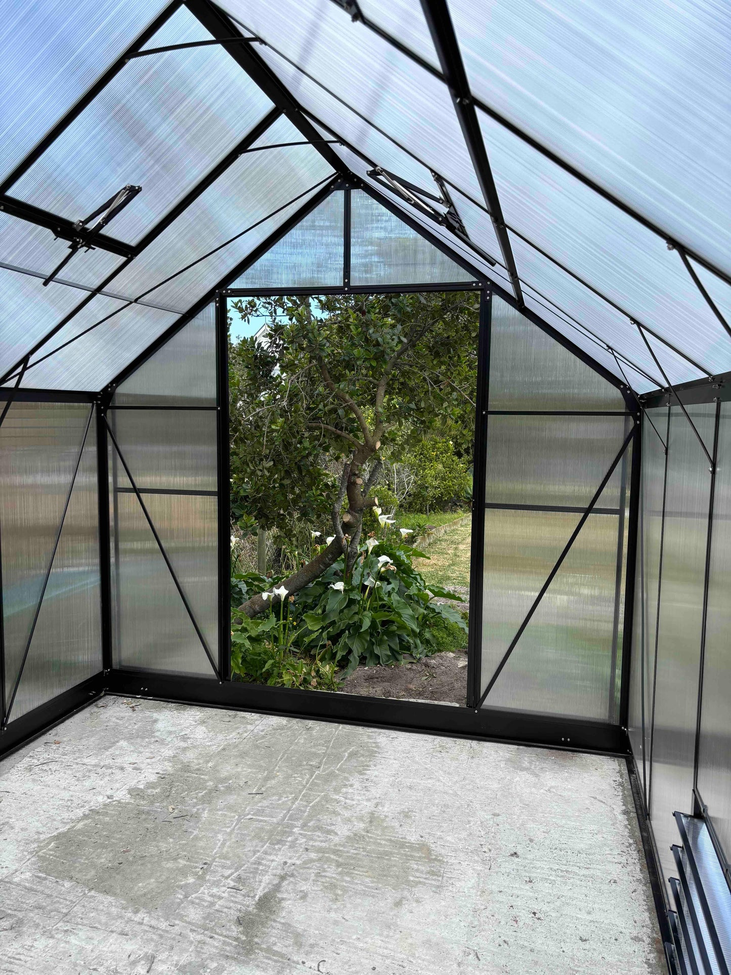 Inside view of an aluminium-frame greenhouse with clear polycarbonate panels