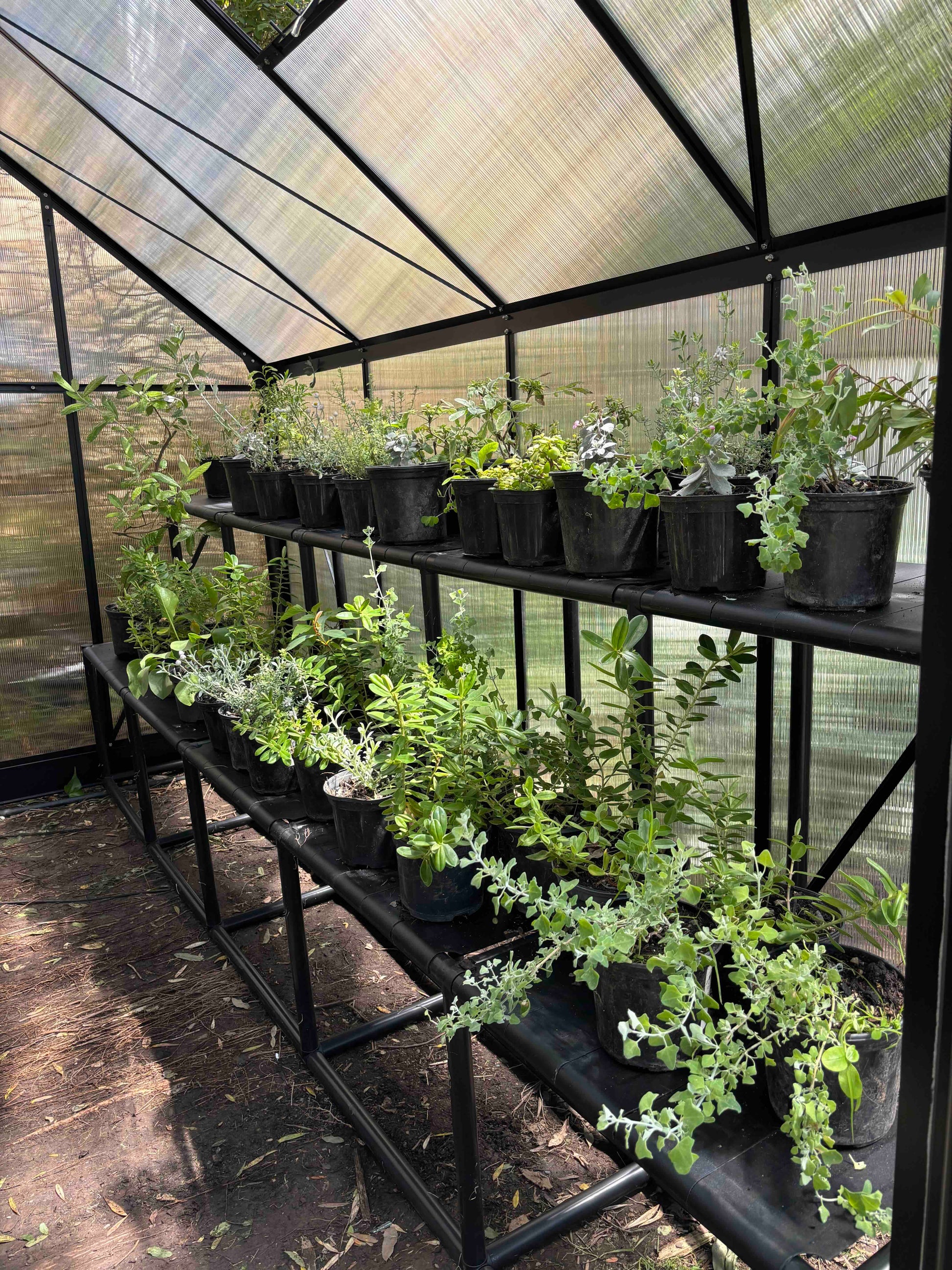 pvc plant rack PVC Greenhouse Shelving