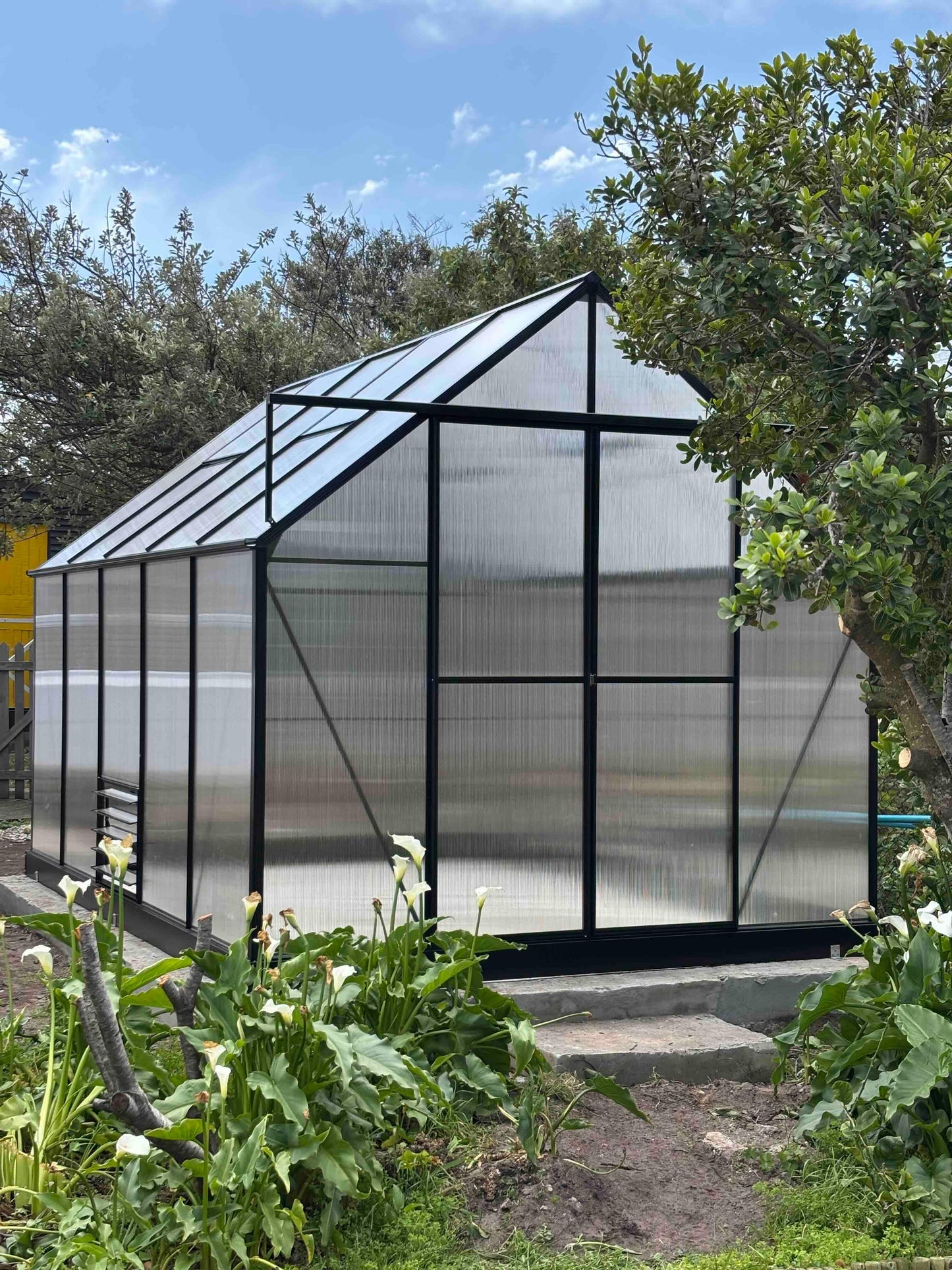 Grand Gro 3.6m Greenhouse - Black - Easy Greenhouses