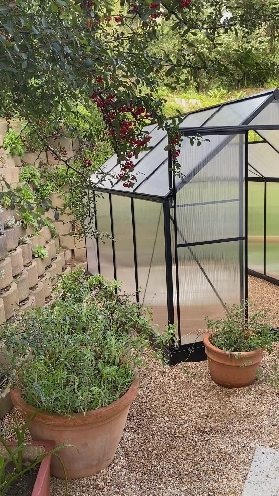 Easy Gro Greenhouse - Black - Easy Greenhouses